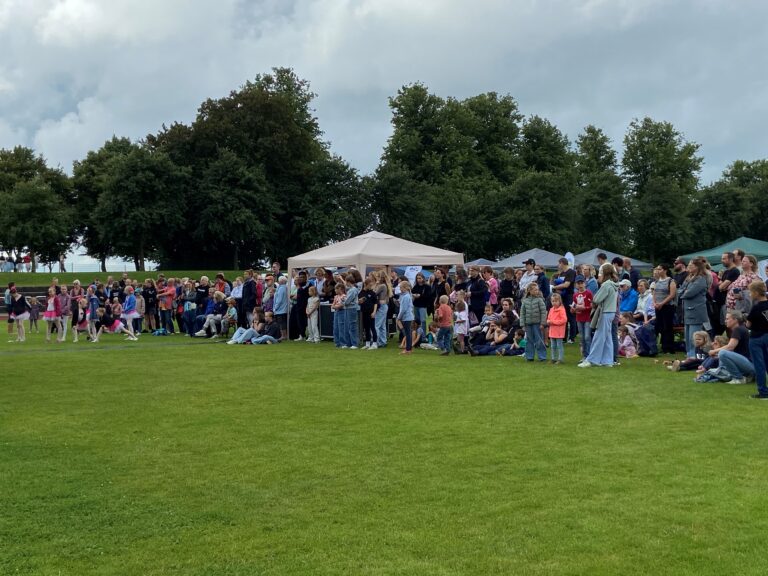 Erfolgreiches 2. Schleswiger Bürger*innenfest begeistert Besucher*innen