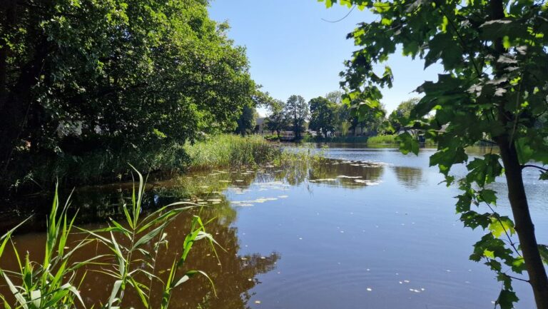Bilder – Das wunderschöne Waldbad in Lindewitt