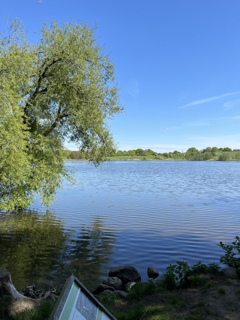 Schleswig: Stadtteilspaziergang in St. Jürgen stößt auf großes Interesse