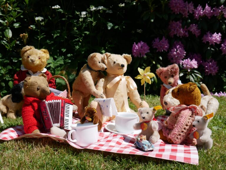 Stadtmuseum lädt zum Teddybär-Picknick ein